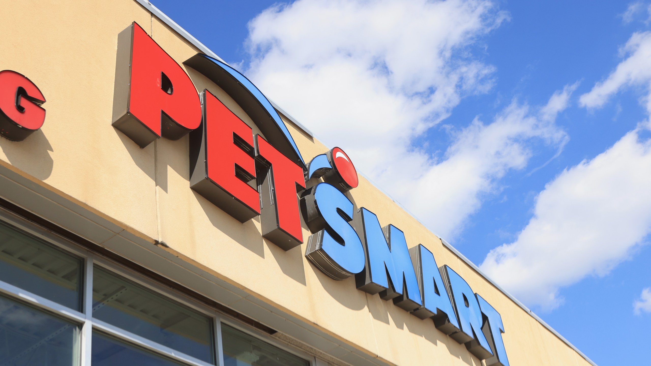 A general view of a Pet Smart store on September 15, 2022 in Levittown, New York, United States. (Getty Images)