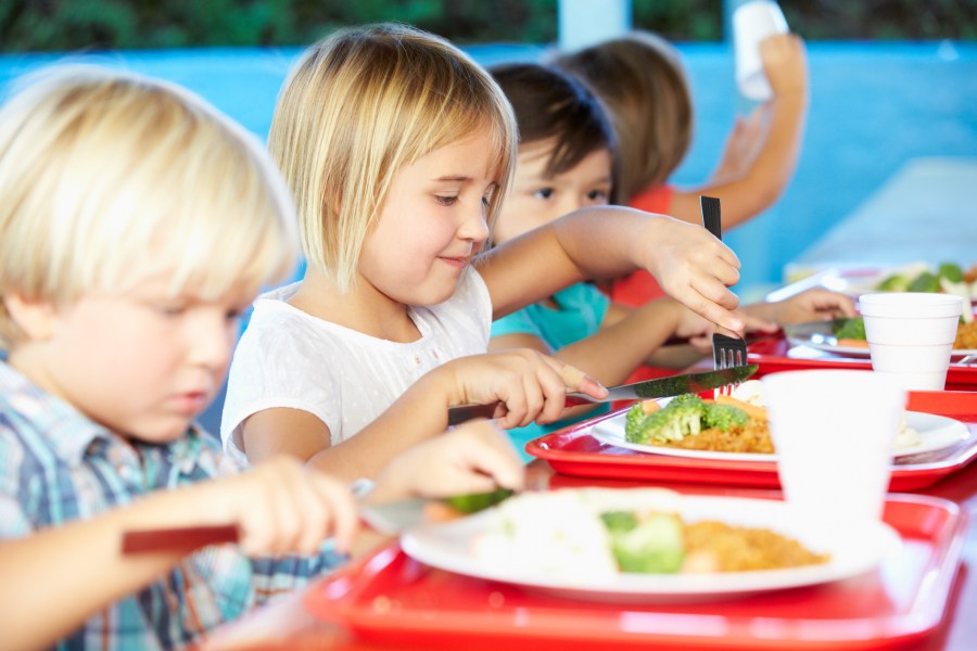 Students enjoying school lunch