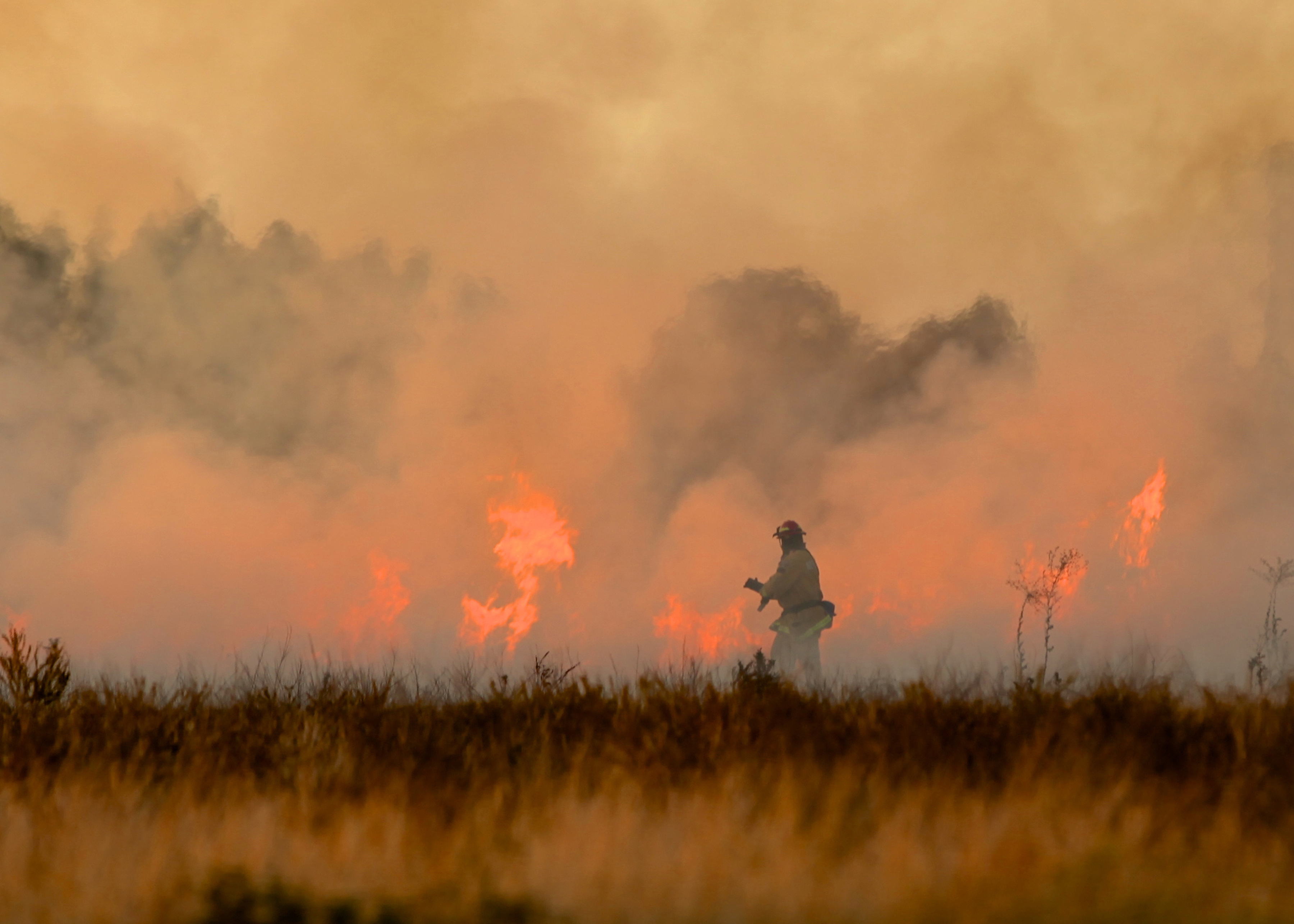 Firefighter fighting a brush fire