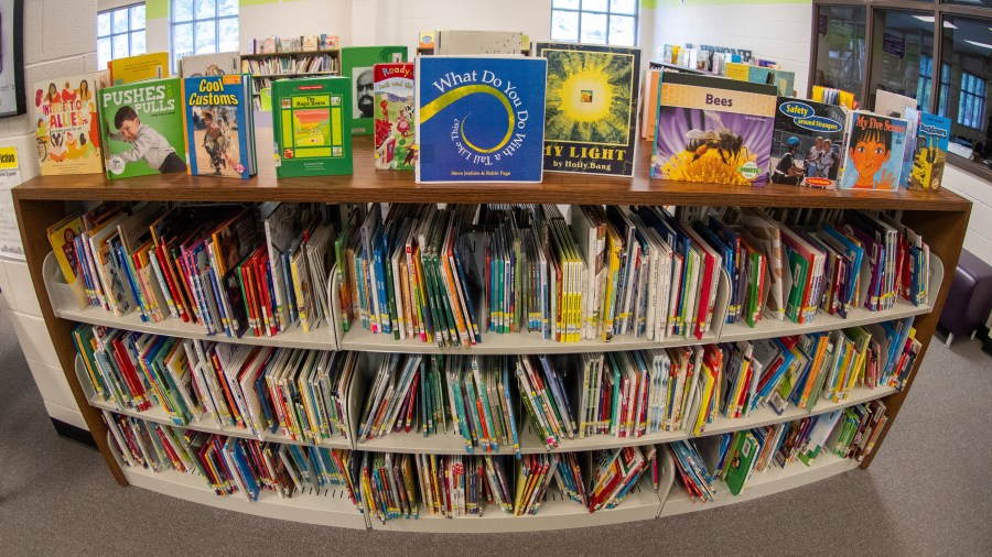 Books sit on shelves in an elementary school.