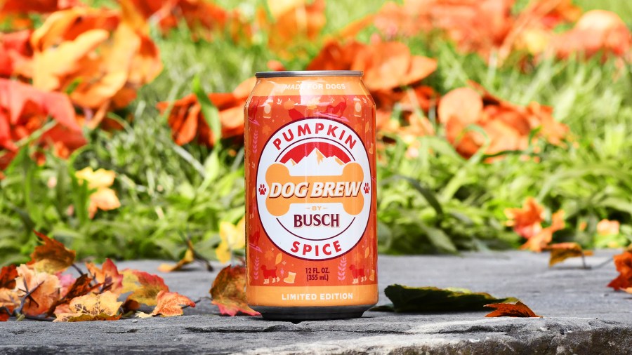 Pumpkin spice dog brew