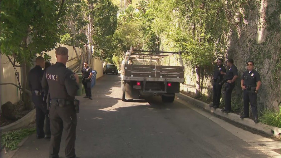 Hollywood Hills squatters