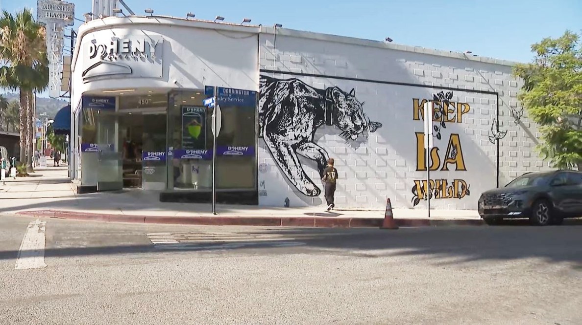 Mural honoring famed mountain lion P-22 unveiled in West Hollywood on August 4, 2023. (KTLA)