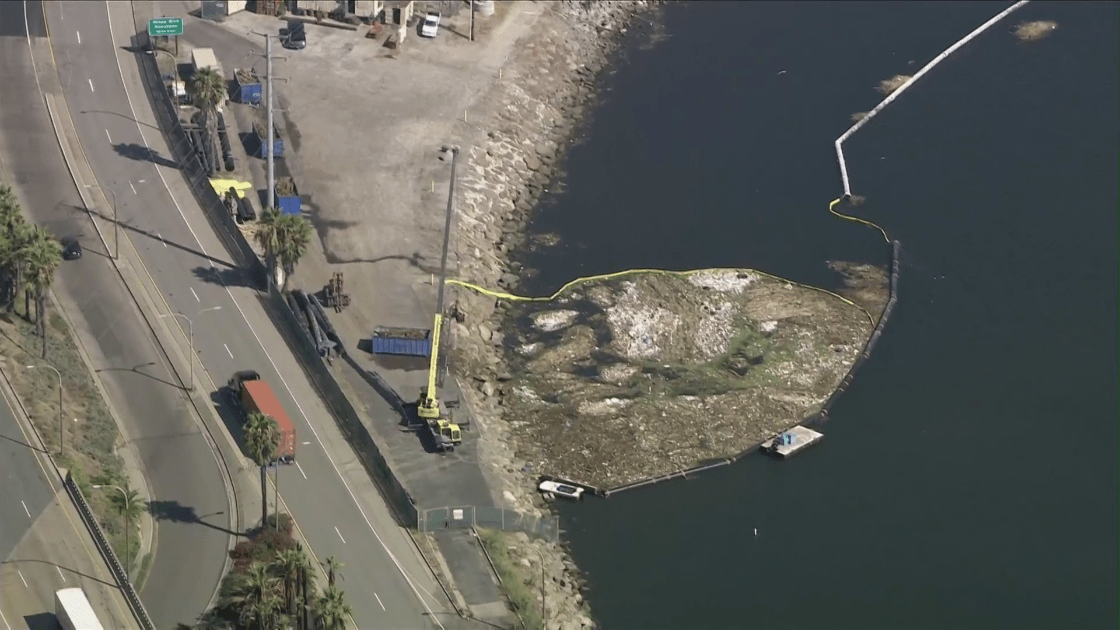 Trash and other debris builds up along the water in Long Beach days after Tropical Storm Hilary slammed Southern California. (KTLA)