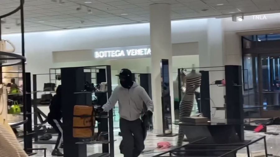 Video captured a mob of thieves swarming a Nordstrom in Canoga Park as they cleared out the store during a destructive robbery on August 12, 2023. (TNLA)