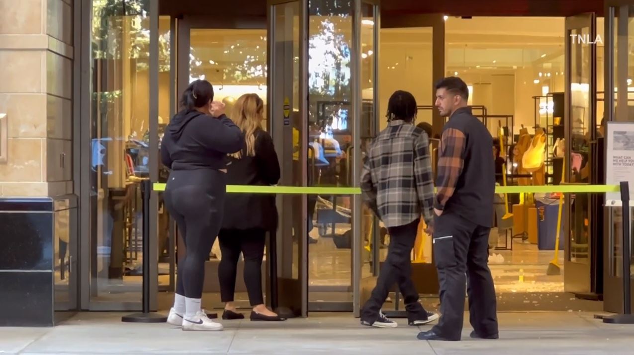 Video captured a mob of thieves swarming a Nordstrom in Canoga Park as they cleared out the store during a destructive robbery on August 12, 2023. (TNLA)