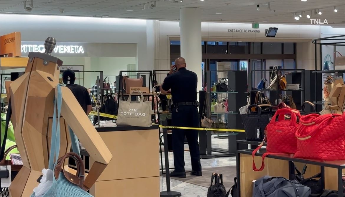 Video captured a mob of thieves swarming a Nordstrom in Canoga Park as they cleared out the store during a destructive robbery on August 12, 2023. (TNLA)