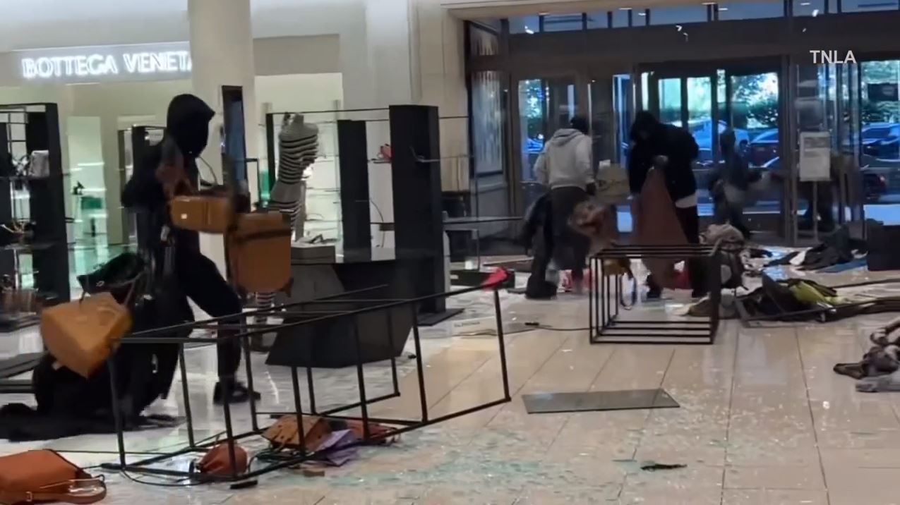 Video captured a mob of thieves swarming a Nordstrom in Canoga Park as they cleared out the store during a destructive robbery on August 12, 2023. (TNLA)