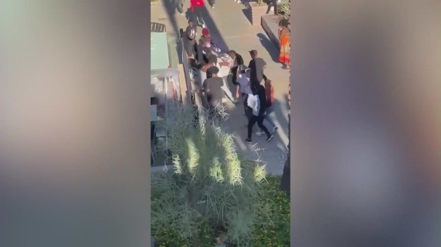 Video captured good Samaritan Maurice Hardy (in a dark blue shirt) rescuing a boy from a violent brawl at the Del Amo Fashion Center on August 29, 2023. (Maurice Hardy)