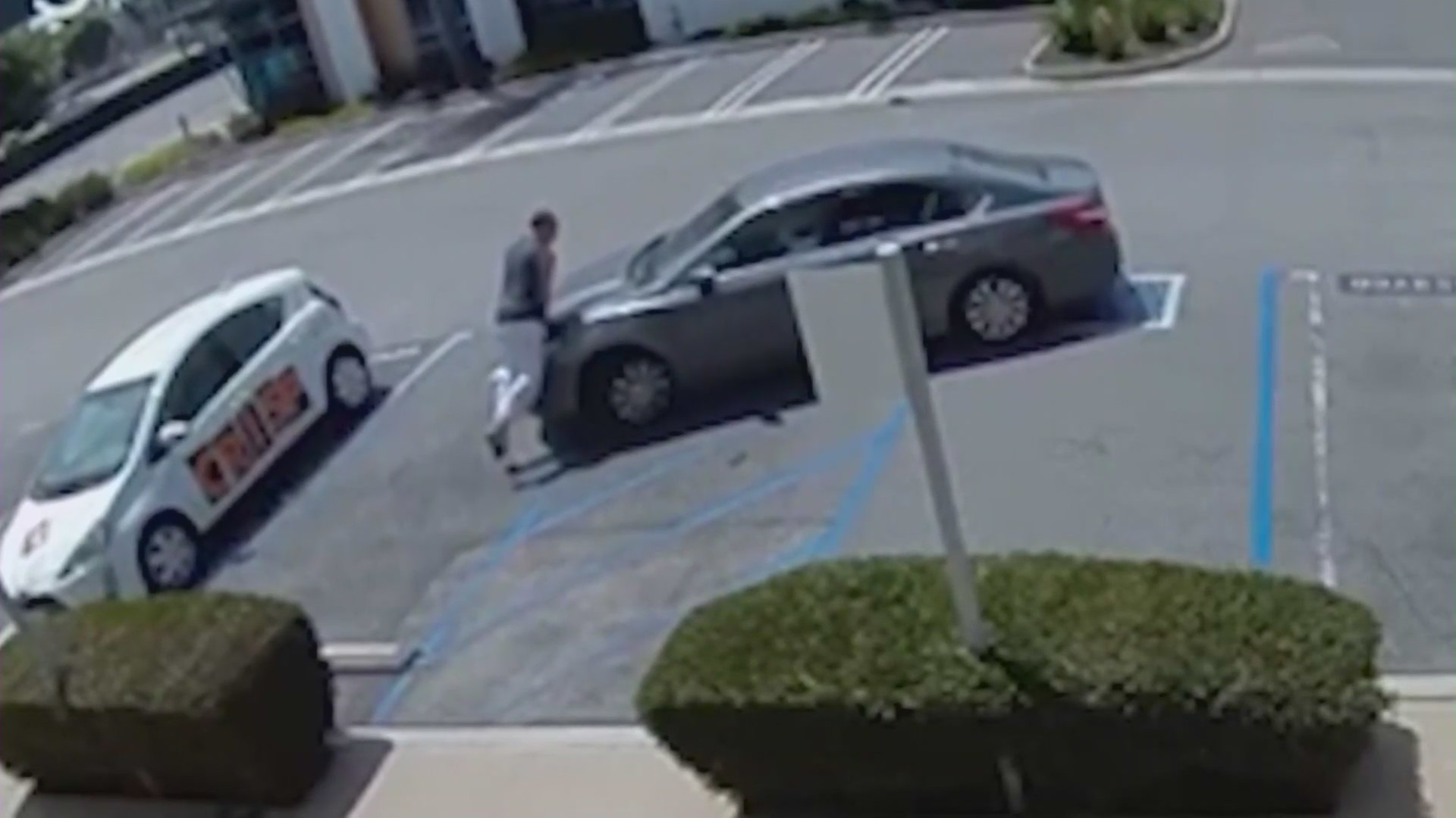 Torrance hit and run video