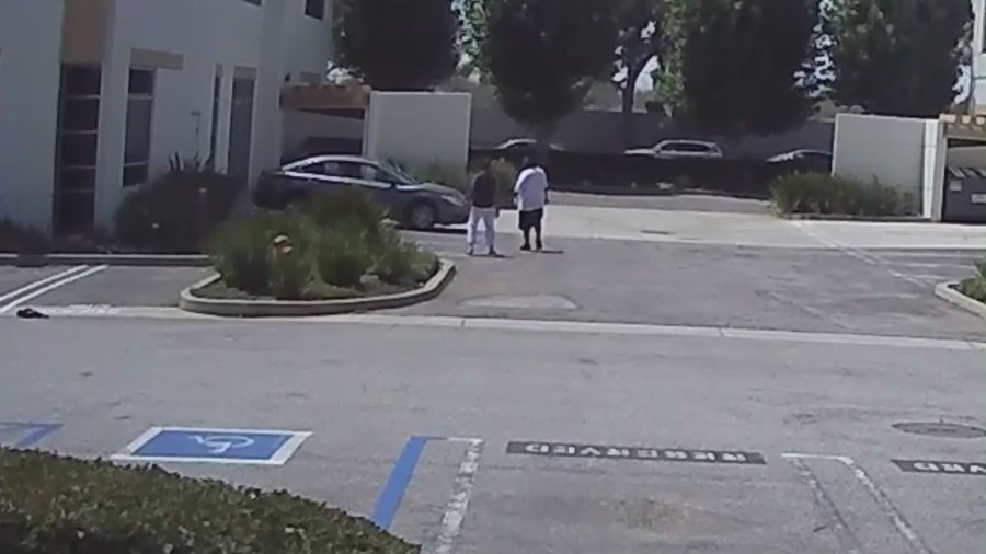 Torrance hit and run video