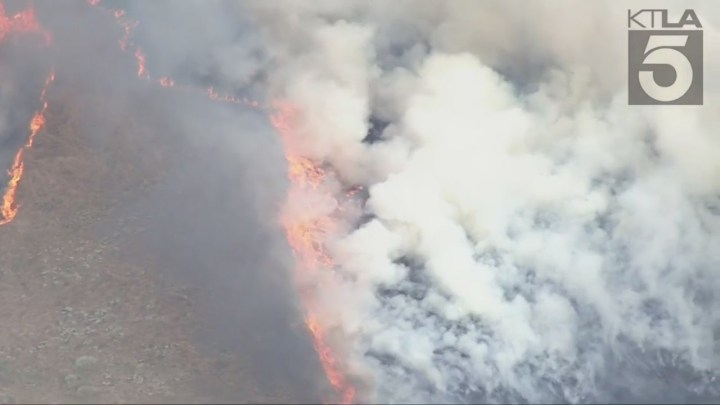 Fire crews battling the massive Rock Fire in Perris on August 9, 2023. (KTLA)