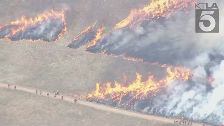 Fire crews battling the massive Rock Fire in Perris on August 9, 2023. (KTLA)