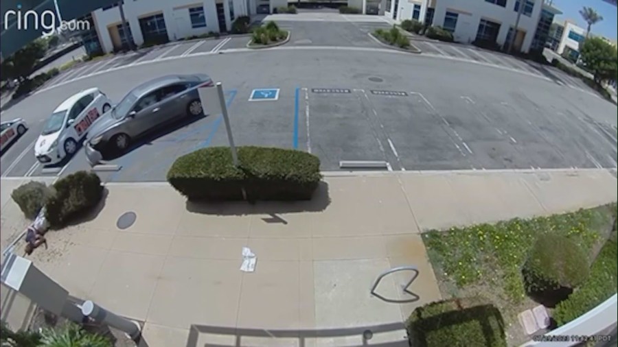 Torrance hit and run video