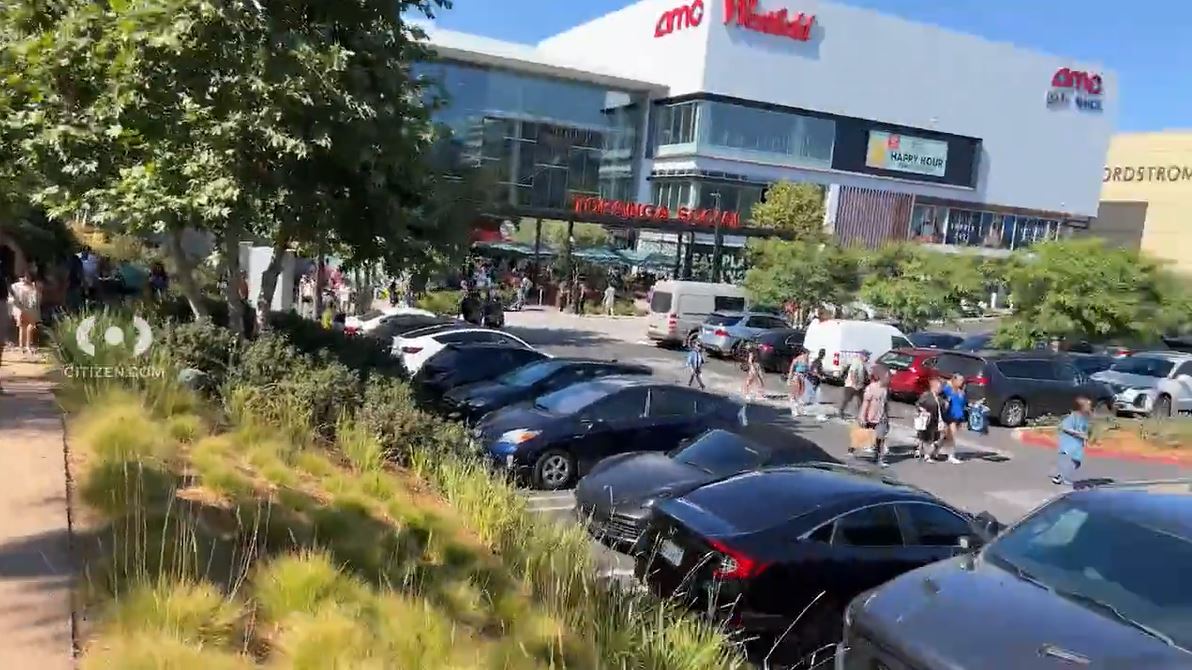 Shoppers were evacuated after a mob of thieves swarmed a Nordstrom in Canoga Park during a destructive robbery on August 12, 2023. (Citizen)