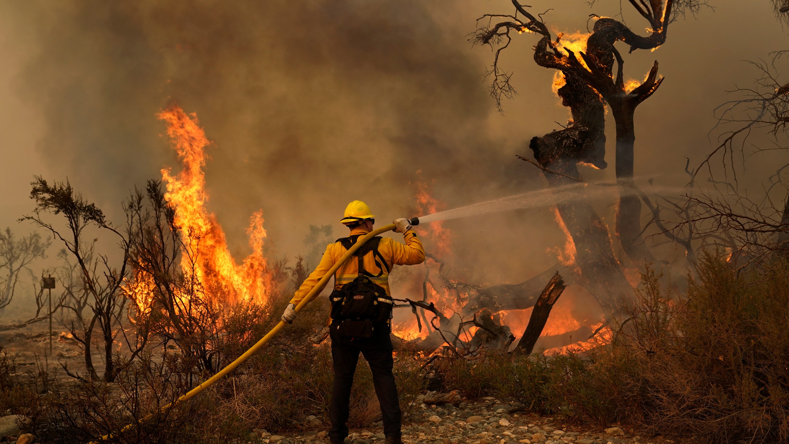 esse Vasquez, of the San Bernardino County Fire Department, hoses down hot spots from the Bobcat Fire on Saturday, Sept. 19, 2020, in Valyermo, Calif. (AP Photo/Marcio Jose Sanchez)