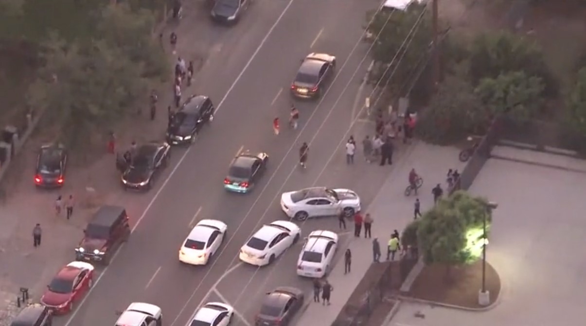 A large crowd gathered to get a glimpse of a black bear that climbed a tree in Muscoy on Sept. 28, 2023. (KTLA)