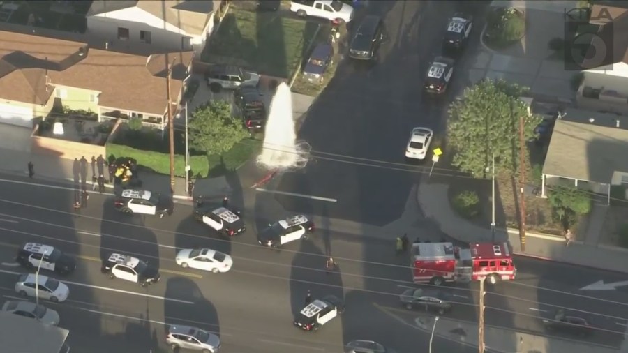 Dash-cam video appears to show an LAPD cruiser hit a fellow officer in the street