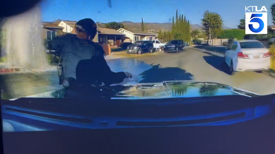 Dash-cam video appears to show an LAPD cruiser hit a fellow officer in the street