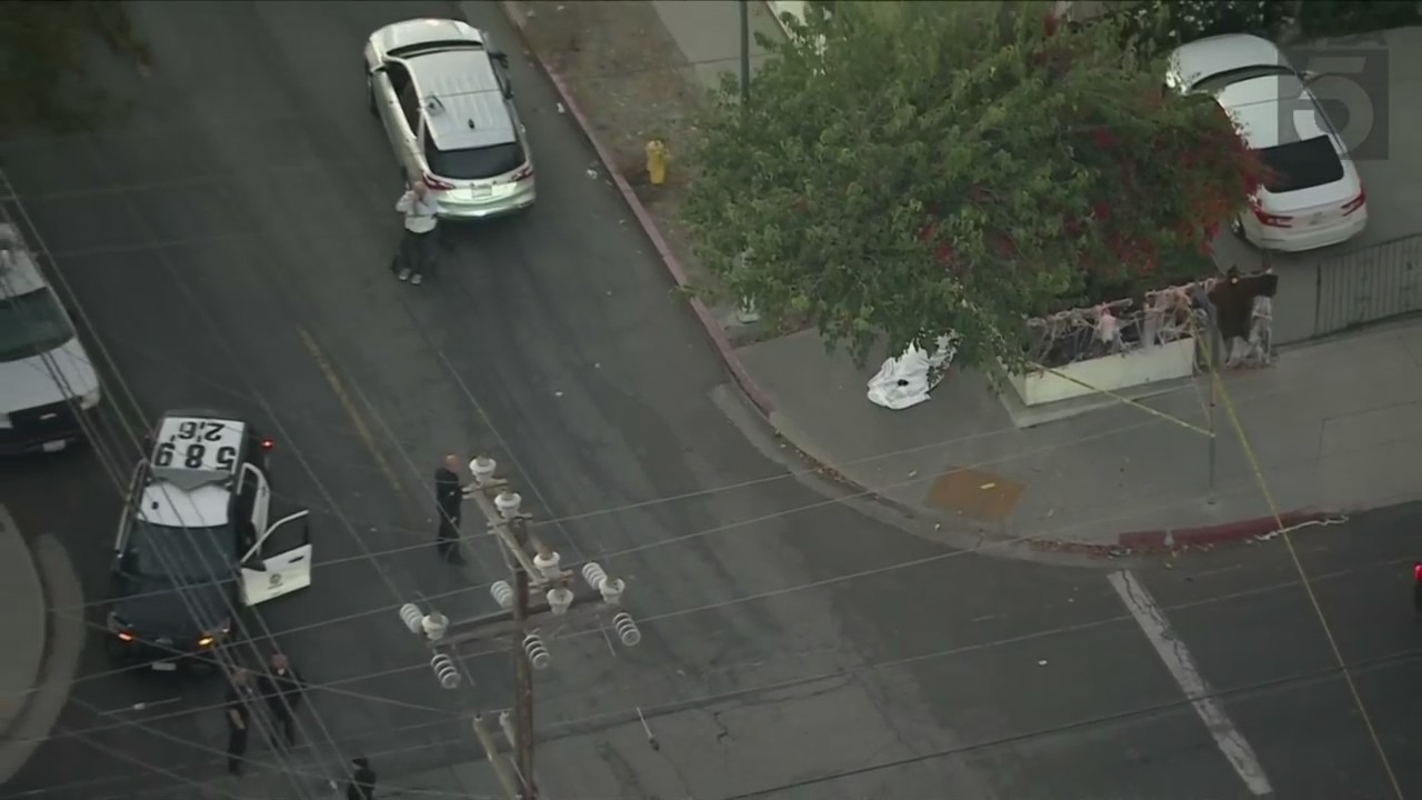 Pacoima car vs. pedestrian