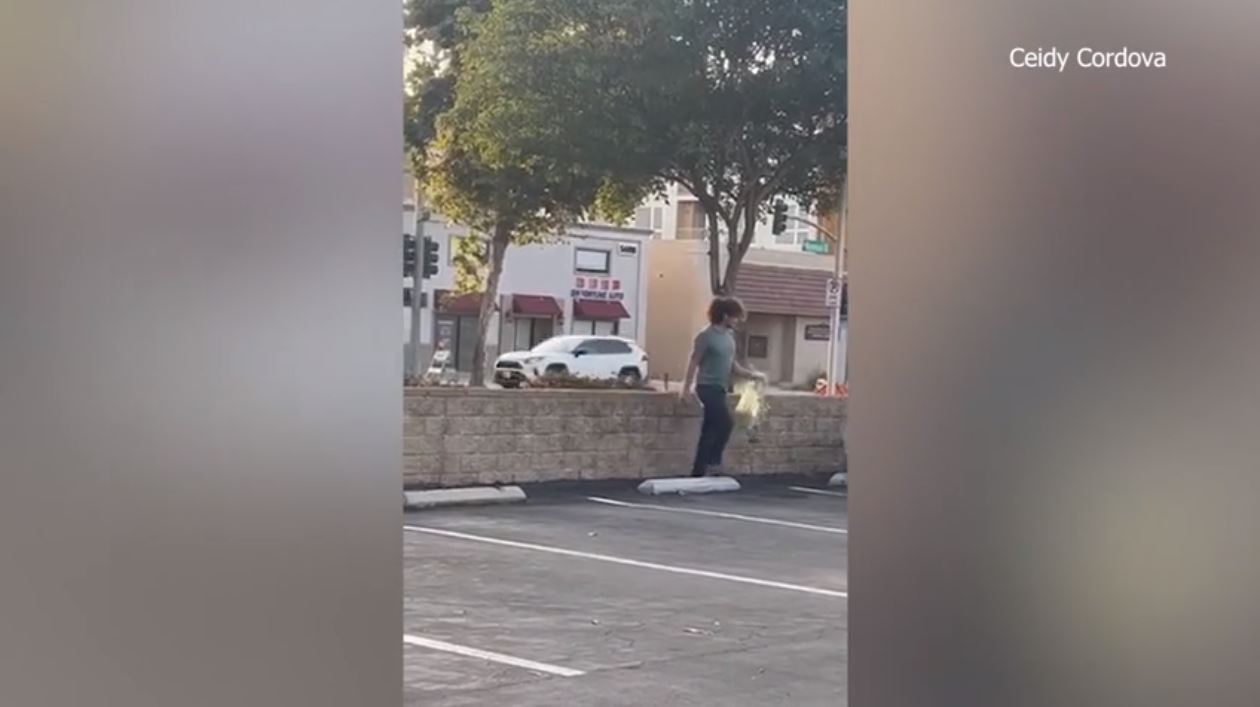 Residents in Temple City are disturbed after video appear to capture a man installing nets to catch wild parrots flying around in the community after some birds were found dead. (Ceidy Cordova)