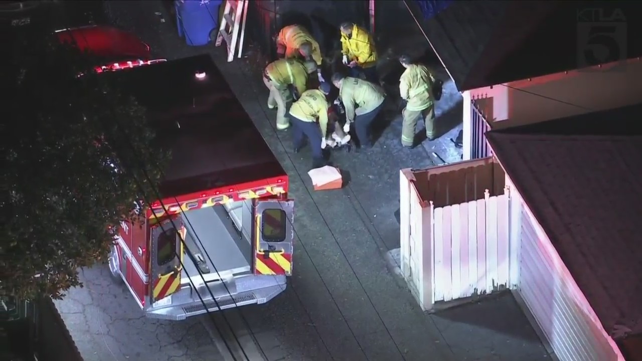 Reseda alley shooting