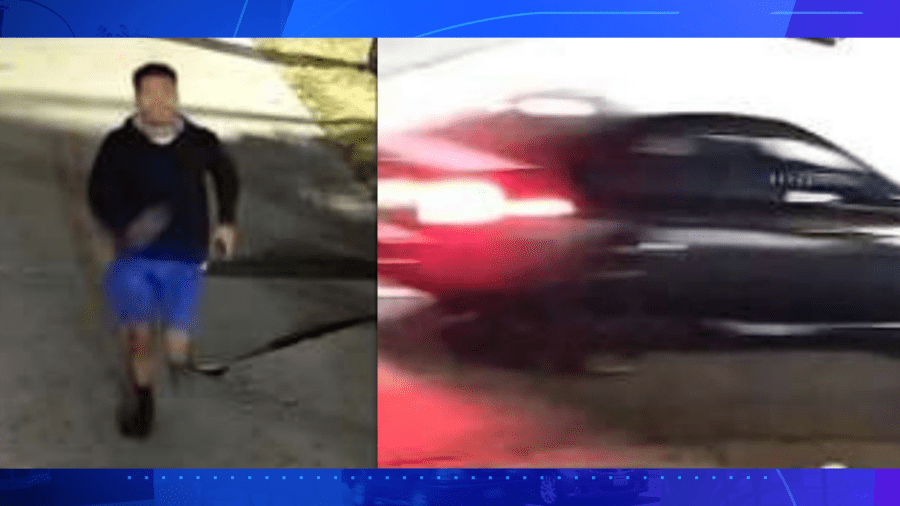 Police are searching for a hit-and-run suspect who left a woman in critical condition after a crash in South Los Angeles on Aug. 5, 2023. (Los Angeles Police Department)