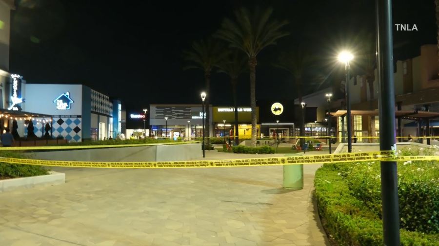 At least six juveniles were detained after gunfire erupted at a crowded Northridge shopping mall on Nov. 24, 2023. (TNLA)