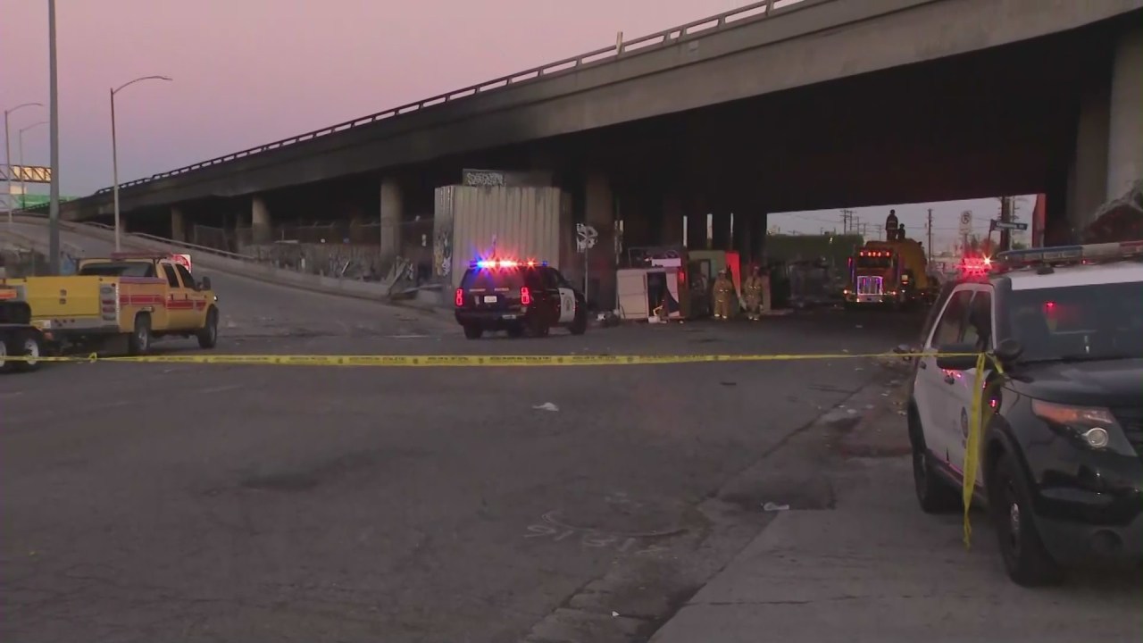 Firefighters battle a fire near an overpass in downtown Los Angeles on Nov. 11, 2023. (KTLA)