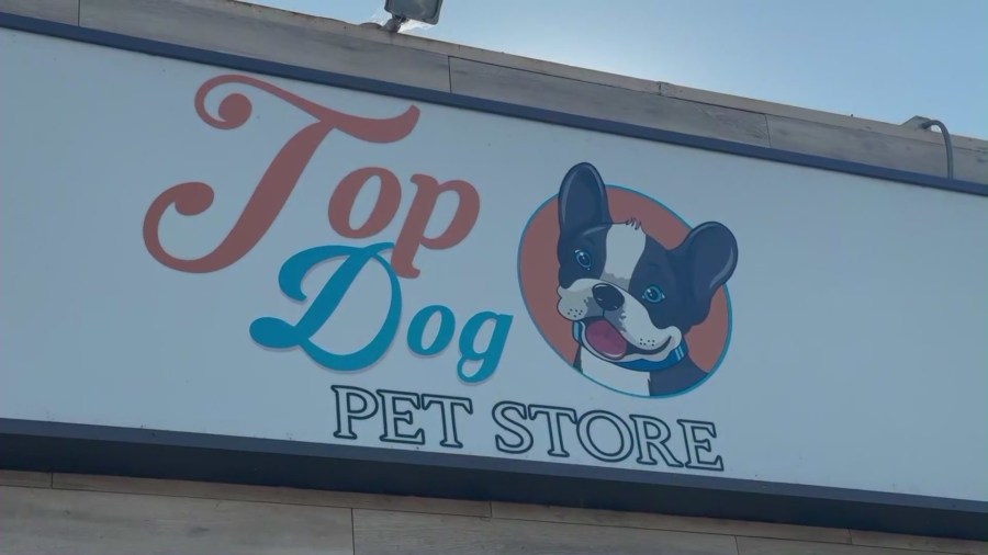 Top Dog Pet Store in Gardena, California.