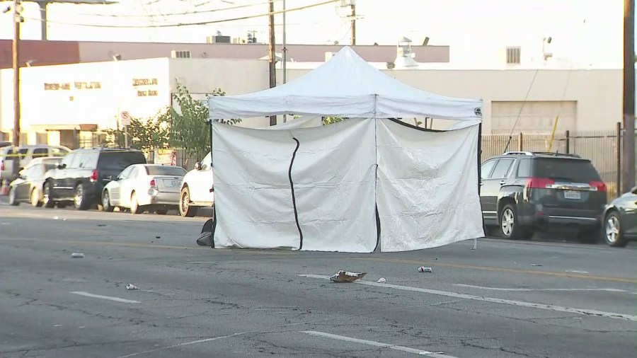 Hit-and-run victim found dead in road in North Hollywood 