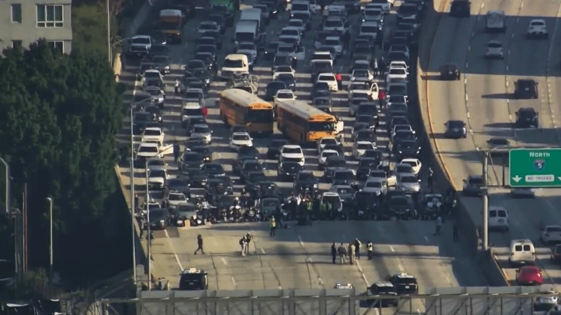 Protesters block downtown L.A. freeway