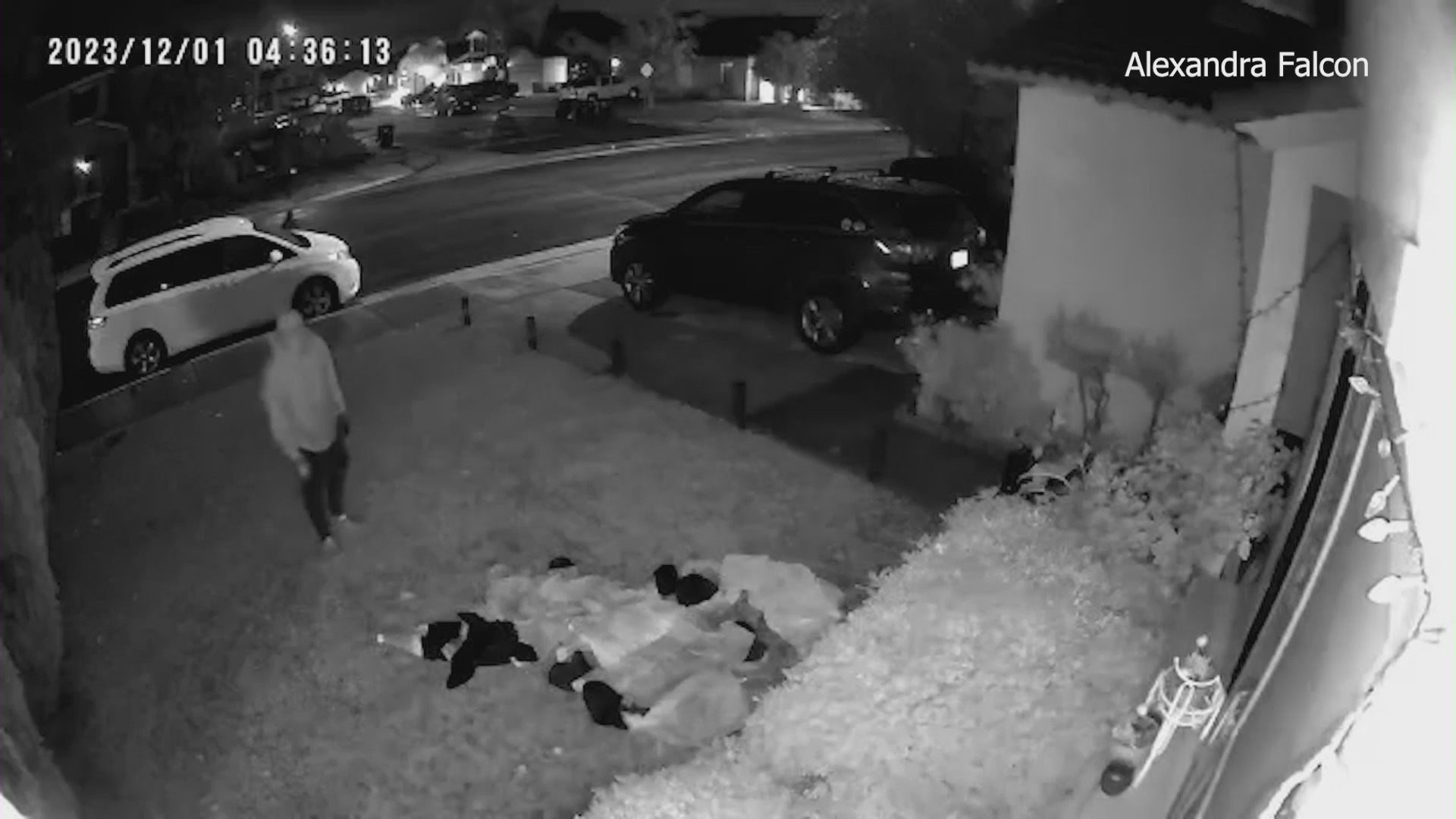 Surveillance video captures two thieves stealing large, pricey Christmas decorations from a Moreno Valley neighborhood on Dec. 1, 2023. (Alexandra Falcon)