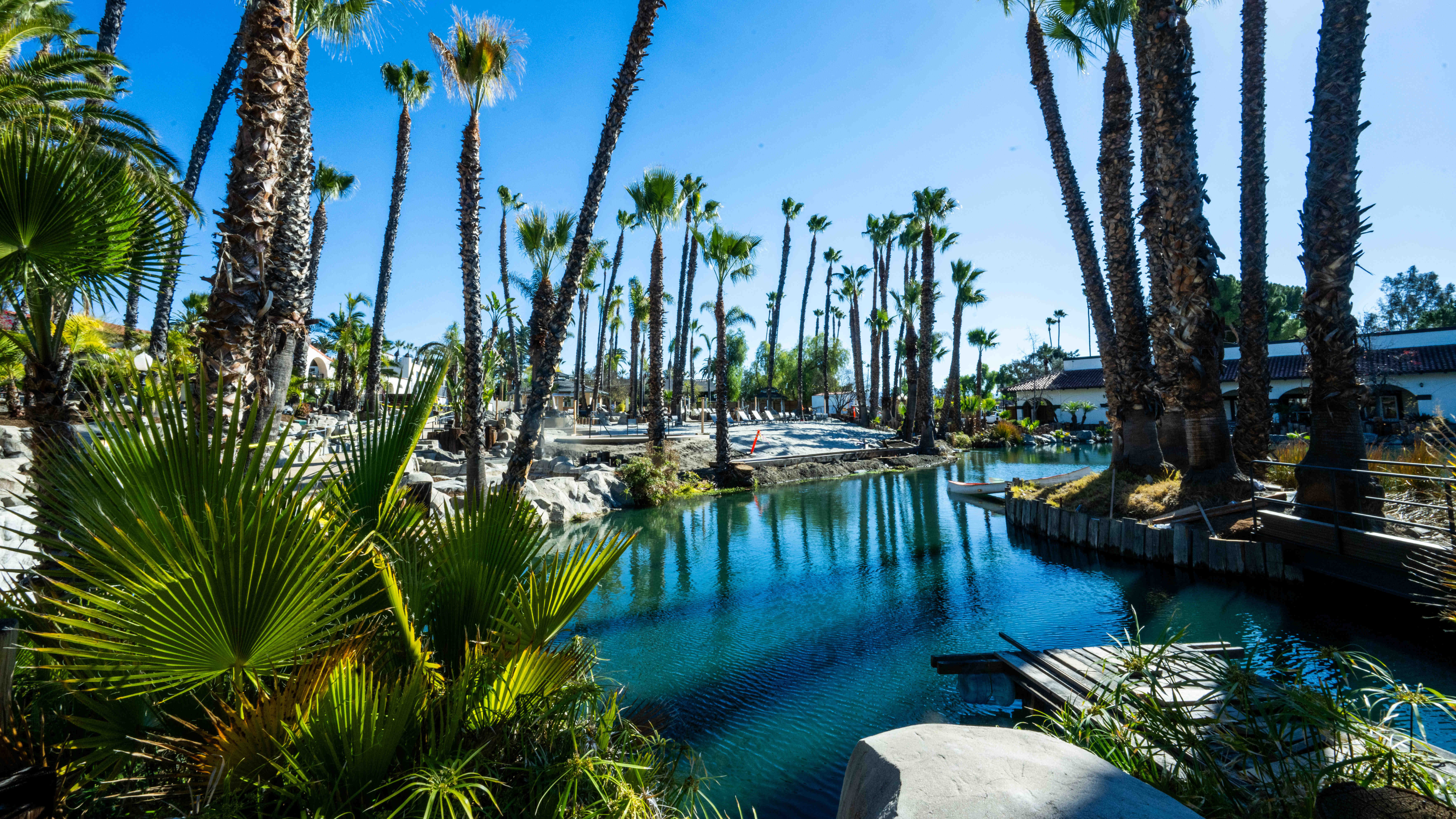 A serene view of palm trees lining the lake at Murrieta Hot Springs Resort in Murrieta on Thursday, Jan. 11, 2024.