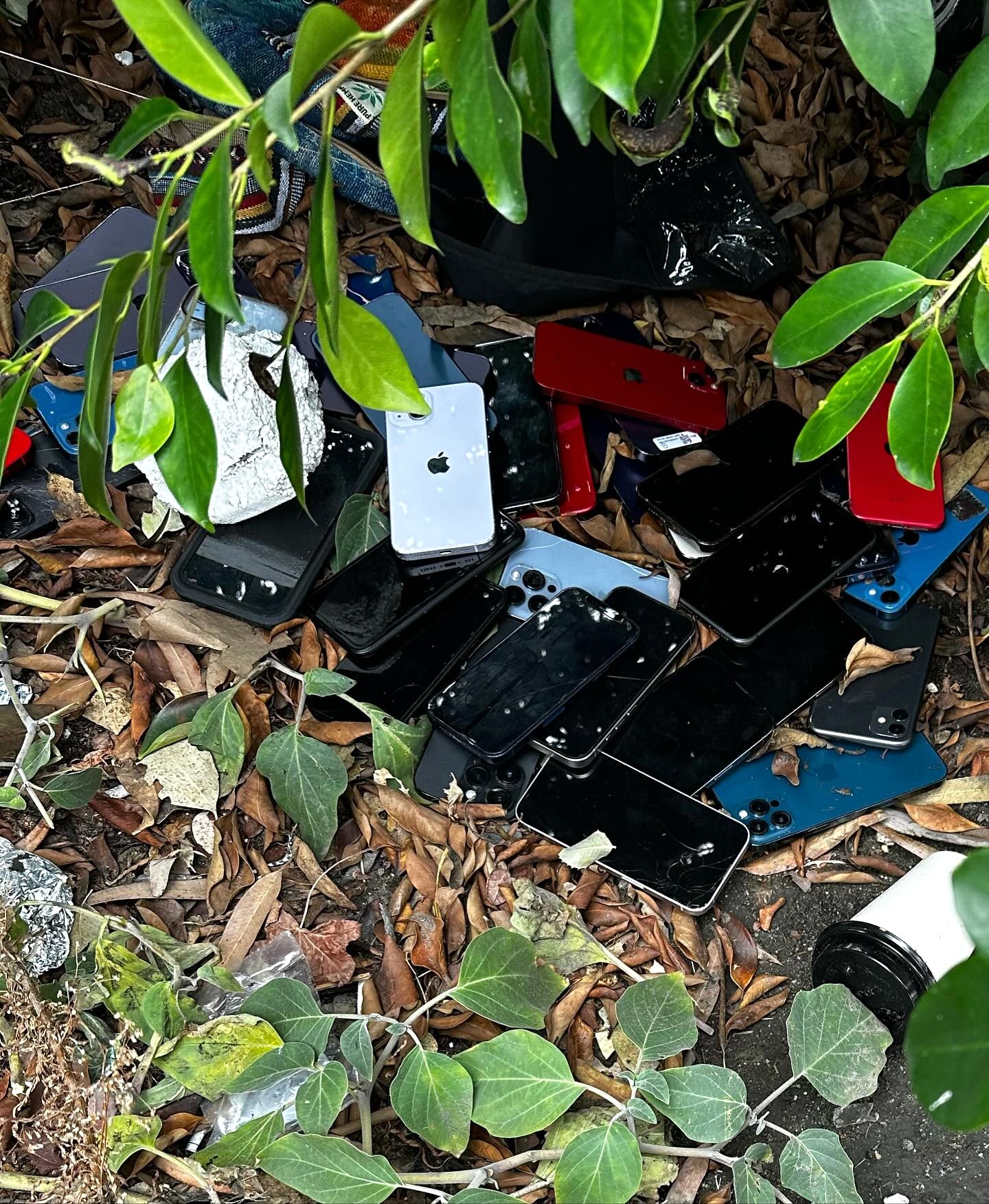 Officers found 40 stolen iPhones dumped near a freeway off-ramp in East Los Angeles on Jan. 4, 2024. (California Highway Patrol)