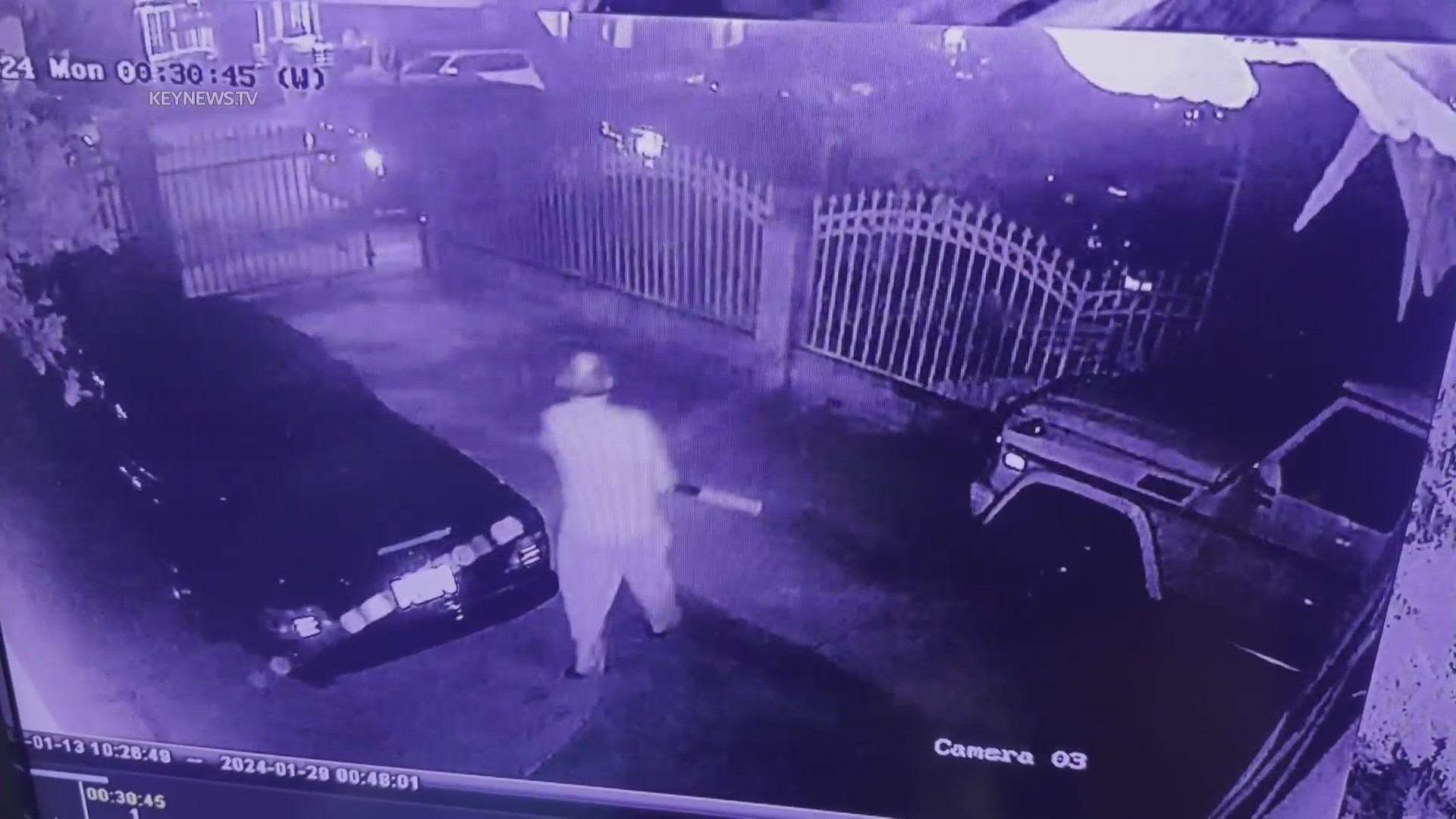 Video shows homeowner fighting back against car break-in suspects