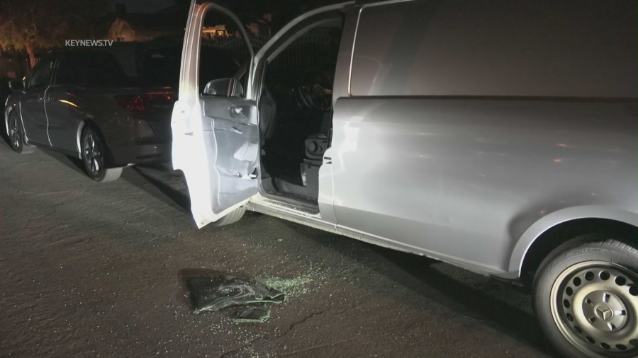 Video shows homeowner fighting back against car break-in suspects