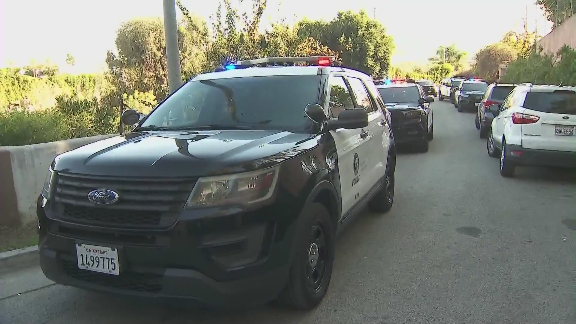 Police swarm a Beverly Crest mansion that squatters have turned into a party house after reports of a burglary on Jan. 26, 2024. (KTLA)