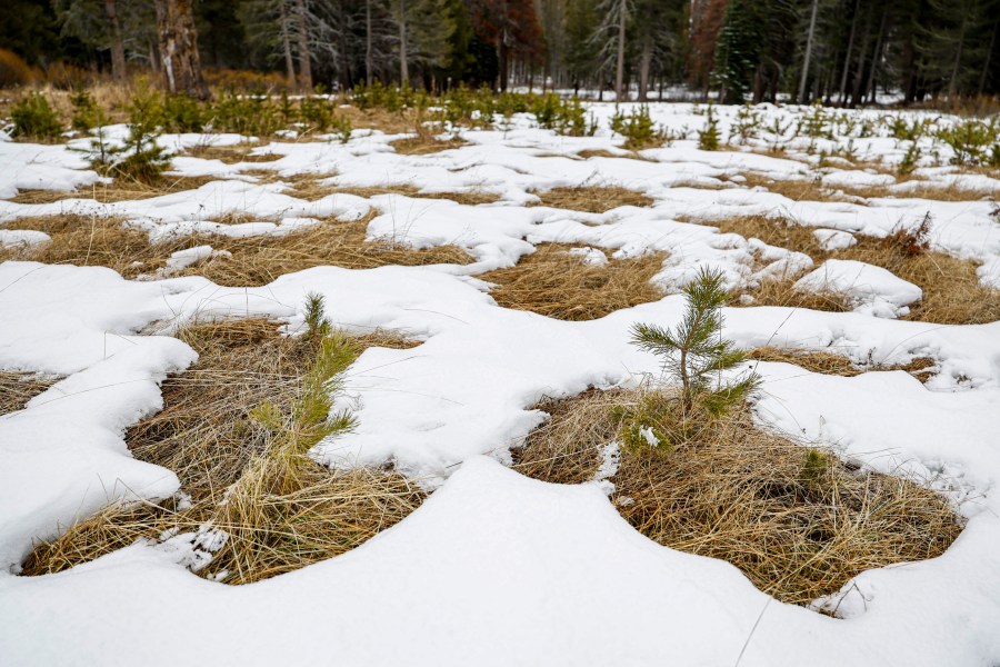 California Snowpack