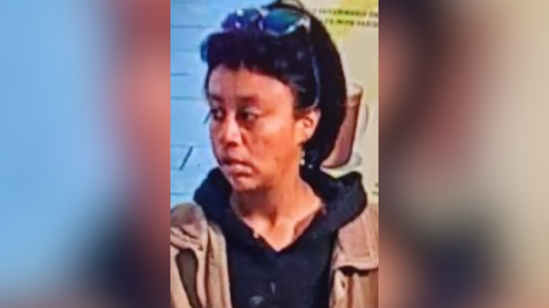 Photo of Yara Vanessa Pineda, 27, wanted in connection with an alleged attempted kidnapping on Feb. 25, 2024, in L.A. (LAPD)