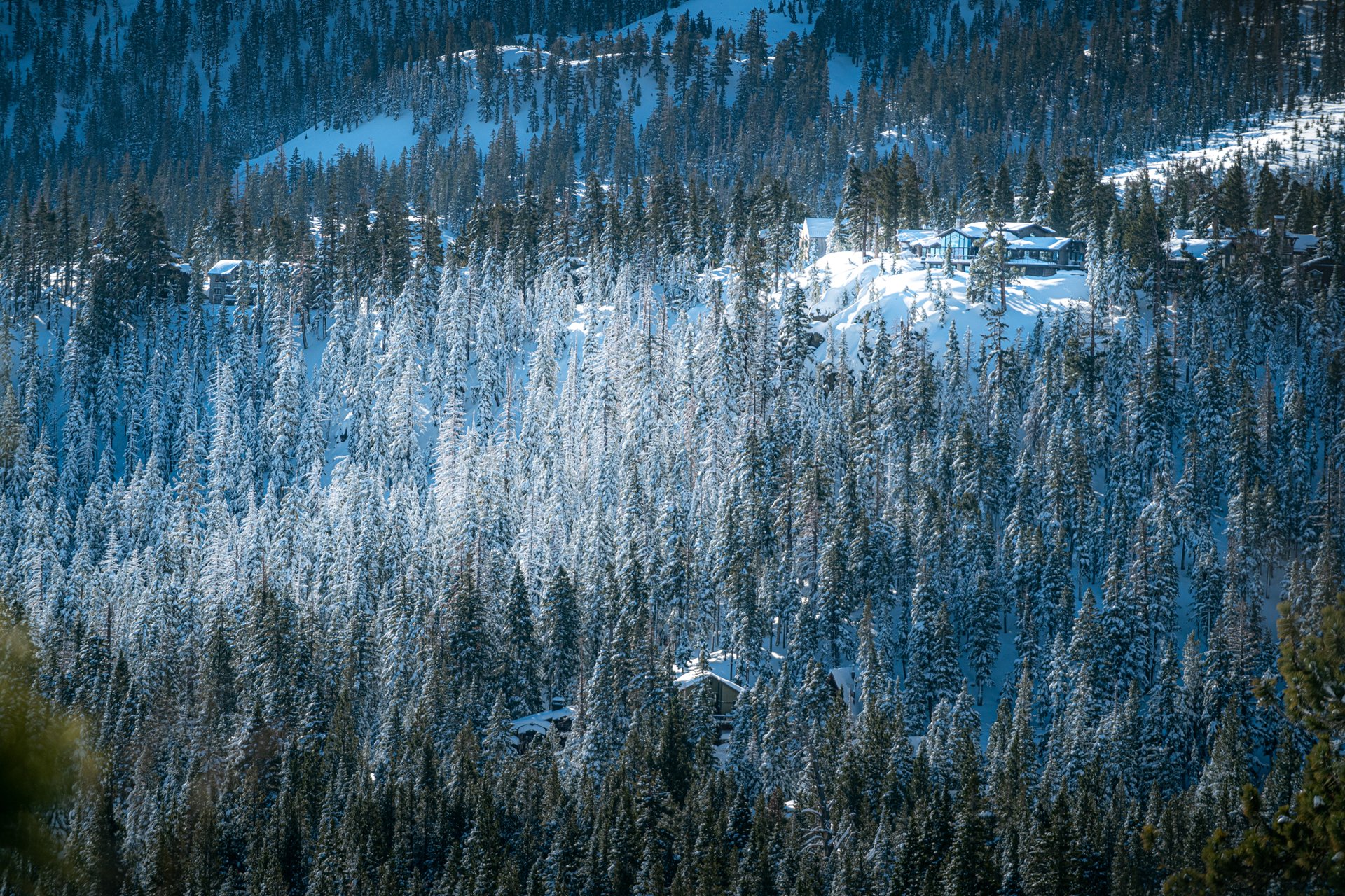 Mammoth snowfall