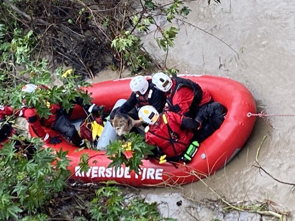 Santa Ana River Rescue
