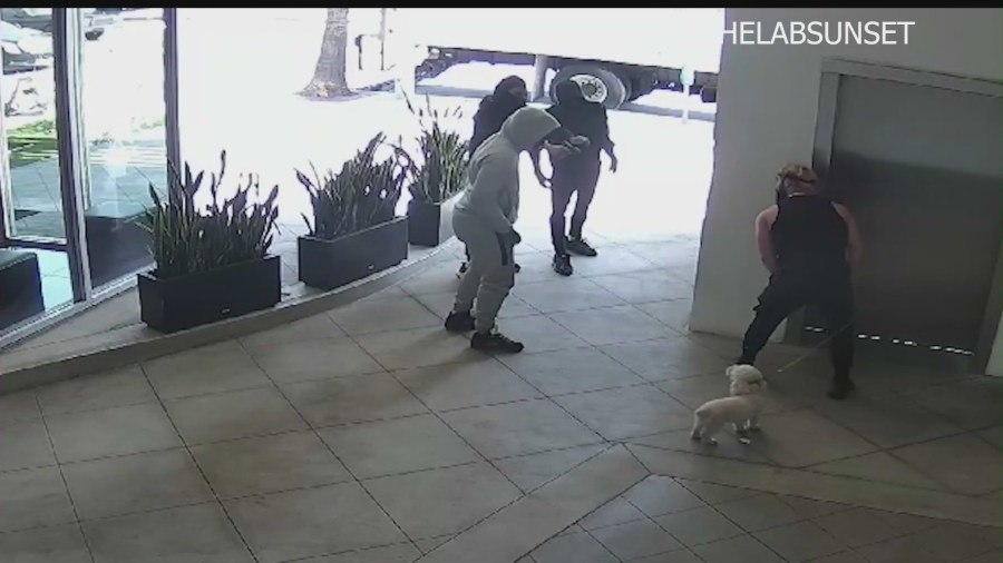 Three gunmen cornering the victim outside his West Hollywood gym on Feb. 27, 2024. (@thelabsunset)