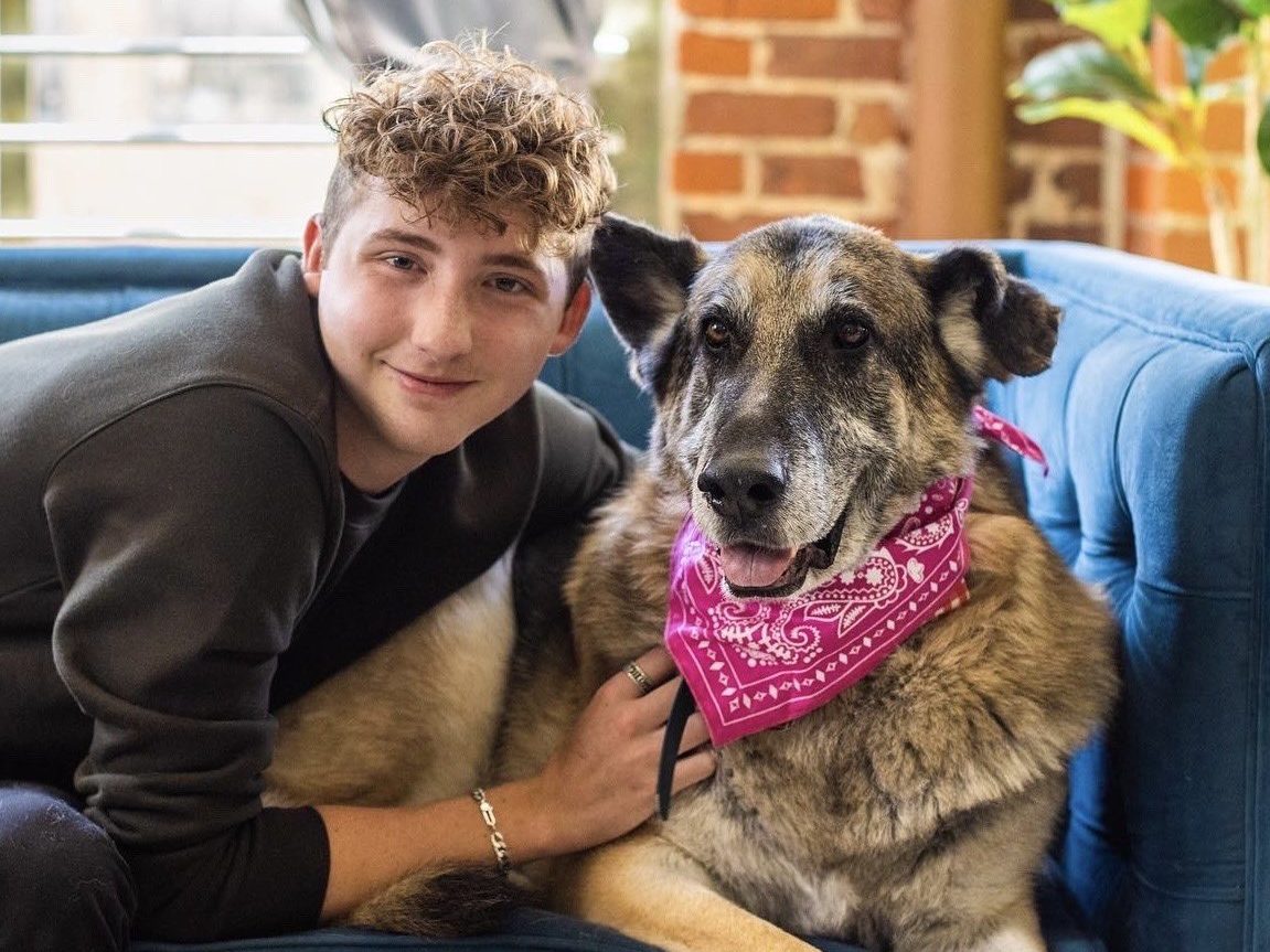 Matt Nelson, aka WeRateDogs, poses with his senior dog Doug. Nelson's charitable organization is partnering with L.A. County shelters to cover adoption costs for adult German shepherds through February 2024. (WeRateDogs on Twitter)