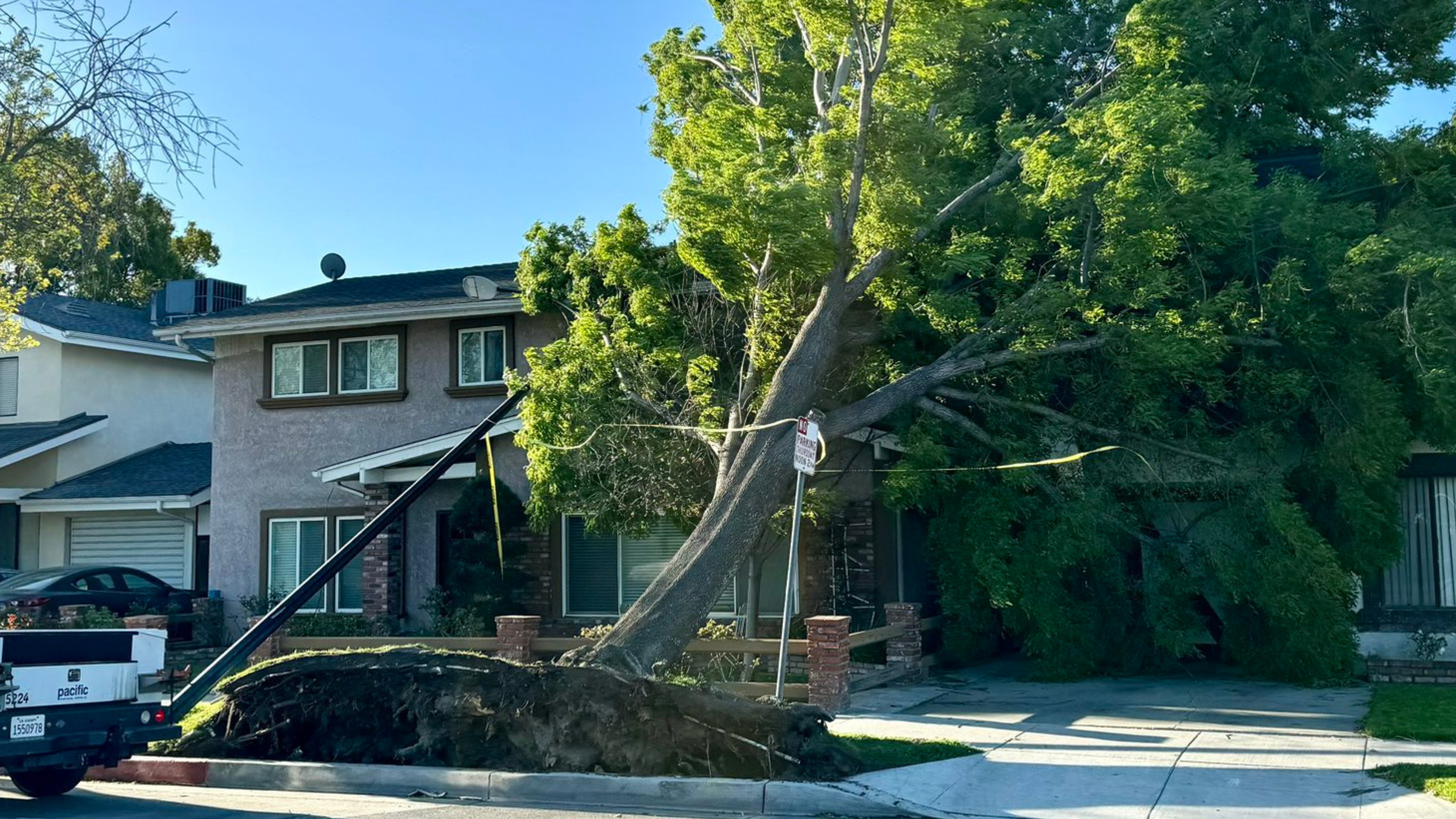 A tree toppled onto a home in Burbank on March 14, 2024.