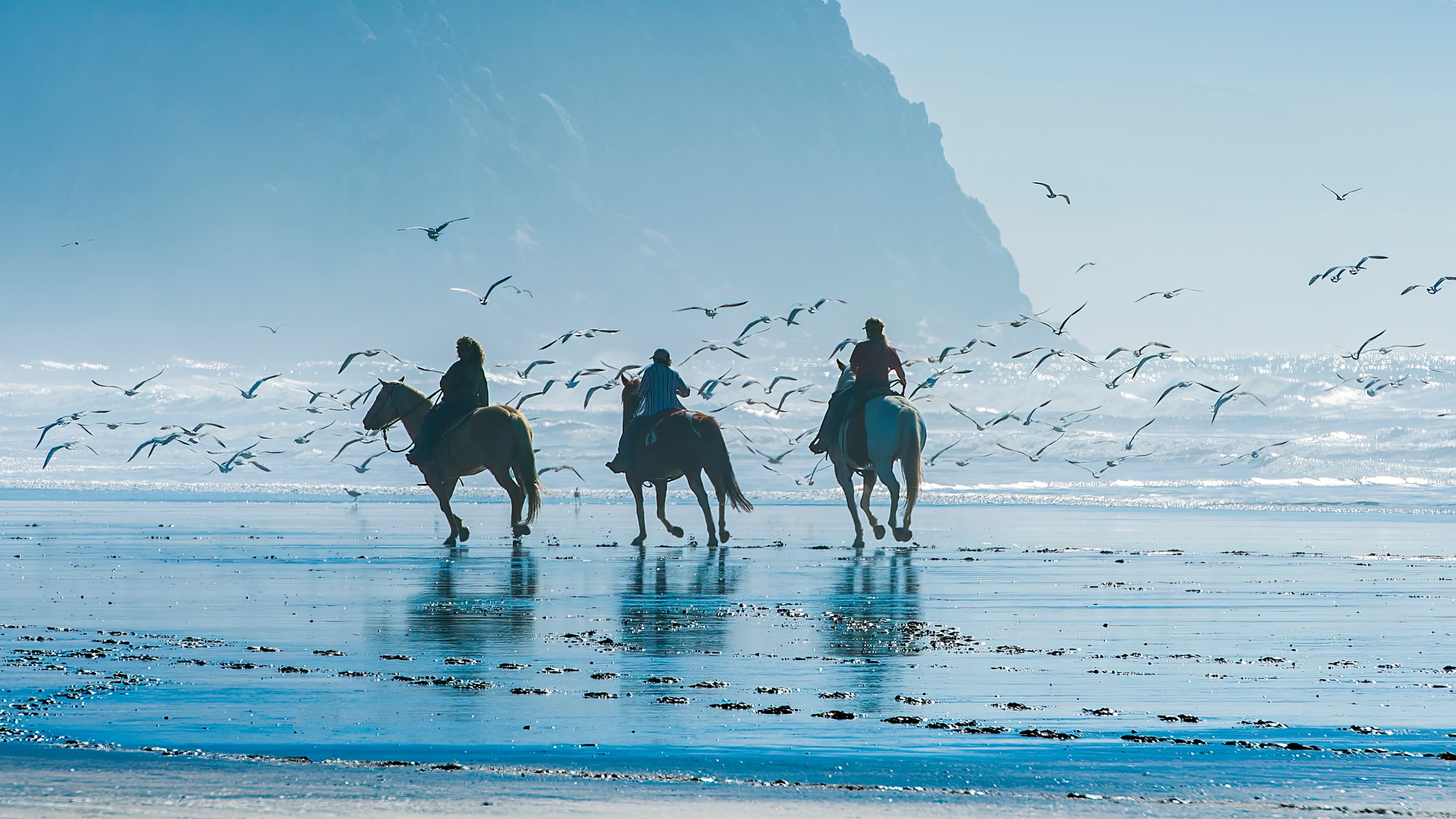 California Coast