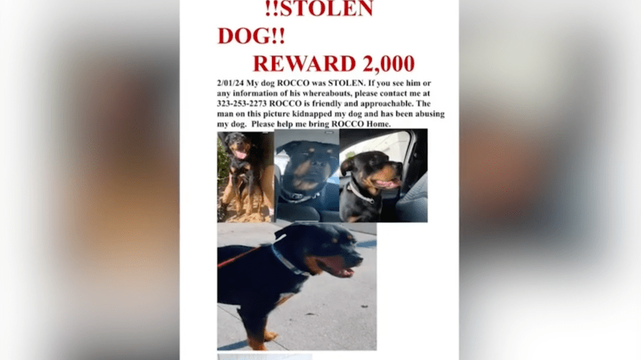 Southern California woman terrorized, harassed by alleged dognappers