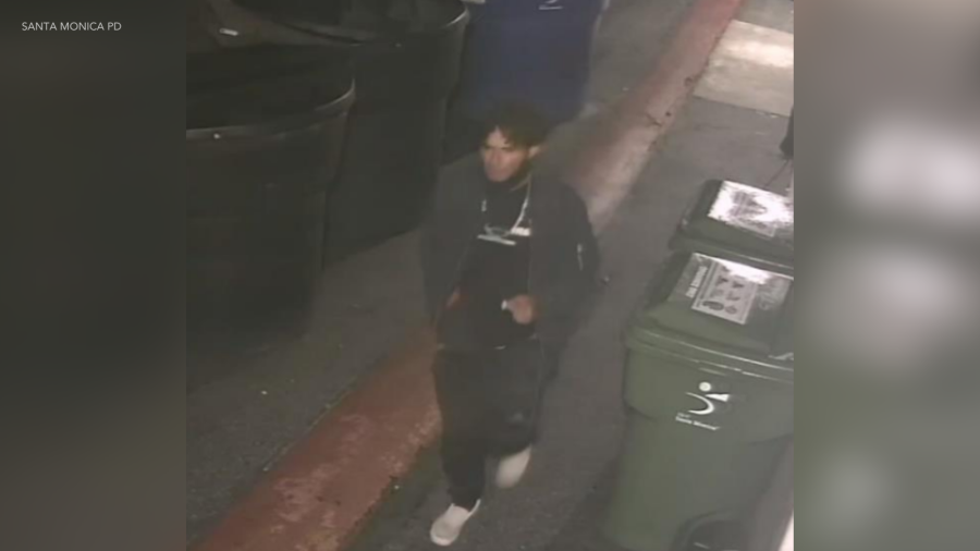 Santa Monica sex assault suspect