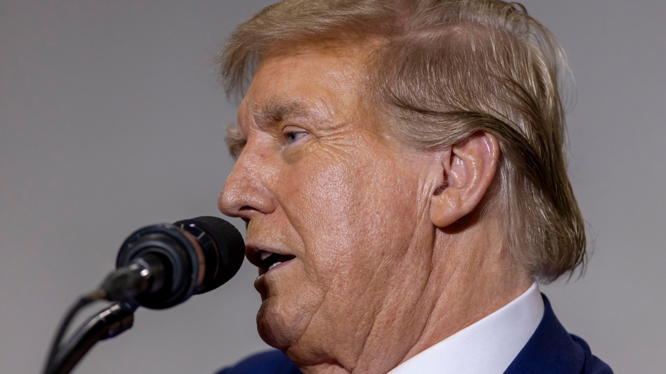 Republican presidential candidate former President Donald Trump speaks, Tuesday, April 2, 2024, at a rally in Green Bay, Wis. (AP Photo/Mike Roemer)