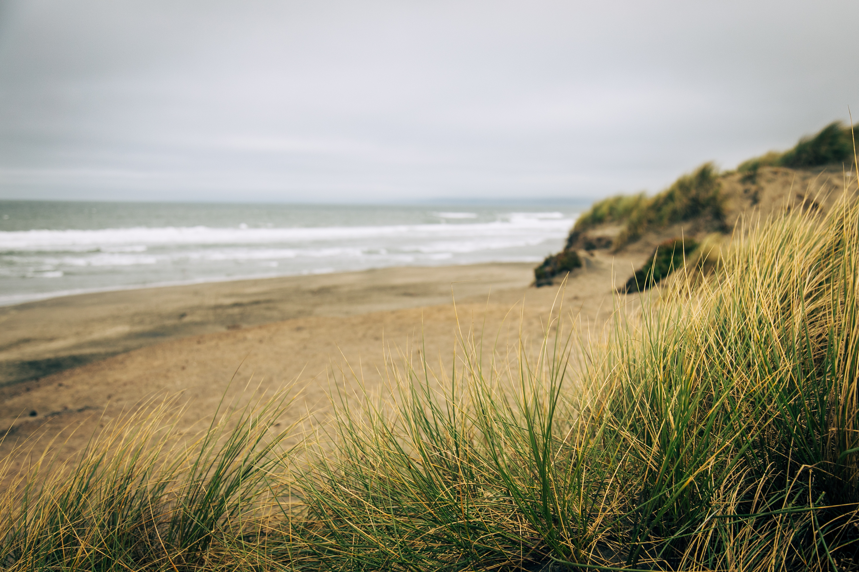 Sandy shores of a beach in California.